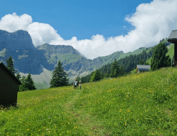 Ahornenweg_2
