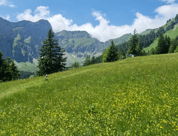Ahornenweg_4