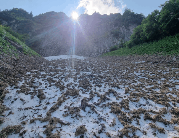 Ahornenweg_6