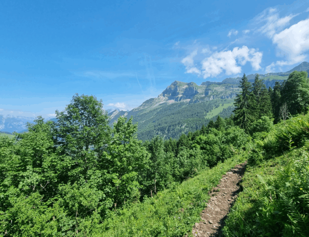 Ahornenweg_7